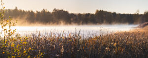 Auringon nousu usvaisen järven päälle. Kuva: Marko Toivakka + AI